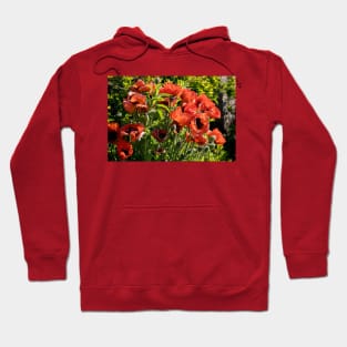 Blood red back lit Poppies Hoodie